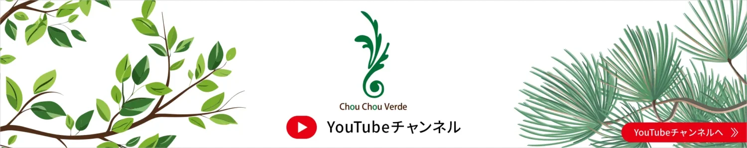 YouTubeチャンネル